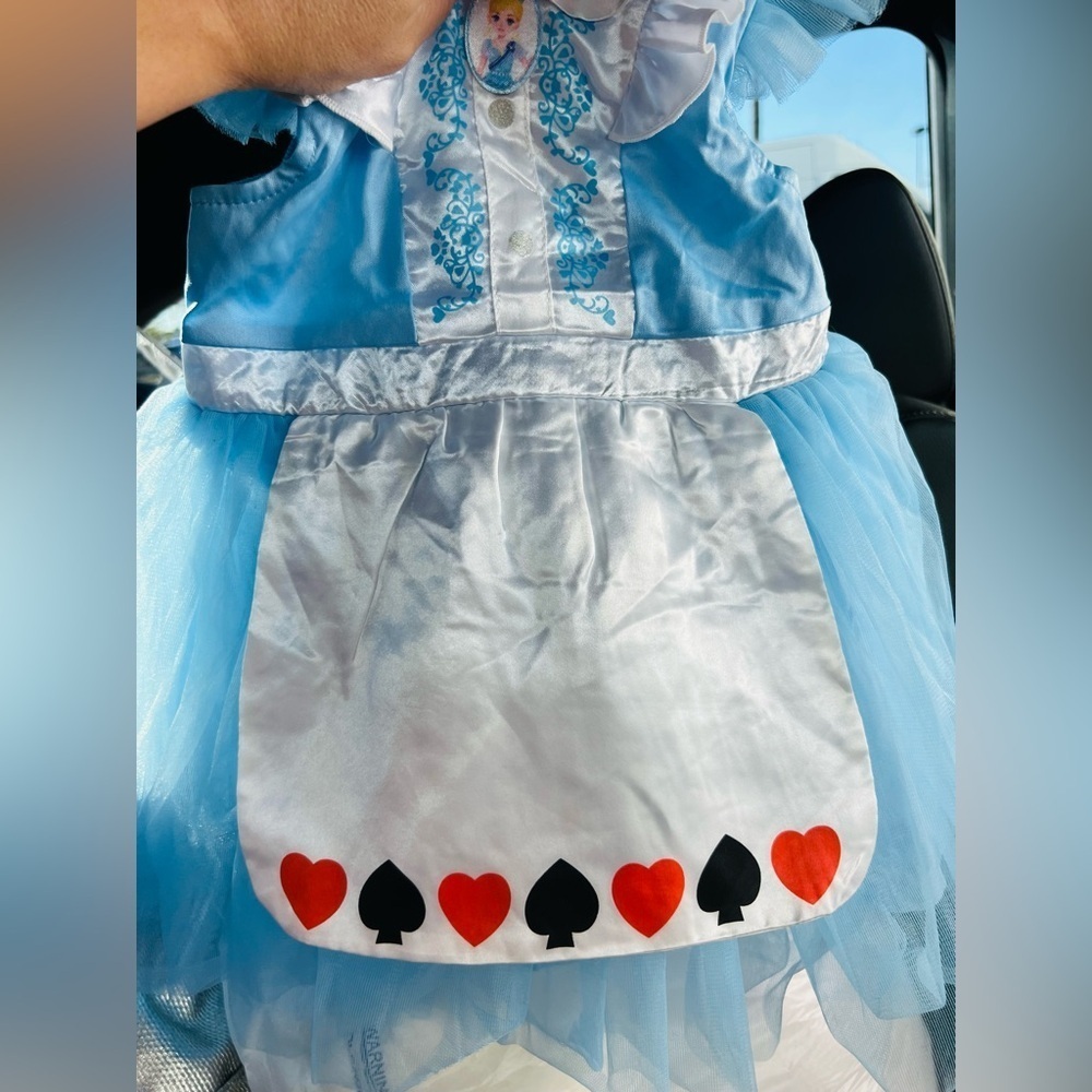 Alice in Wonderland Toddler Baby Girl Princess Tutu Dress Party Costume 2T - Picture 12 of 12